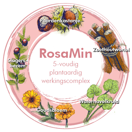Animatie: Actieve bestanddelen goudsbloem, Aziatische waternavel, muizendoorn, paardenkastanje, zoethout
