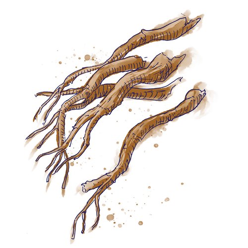 Boerhavia Diffusa Root Extract