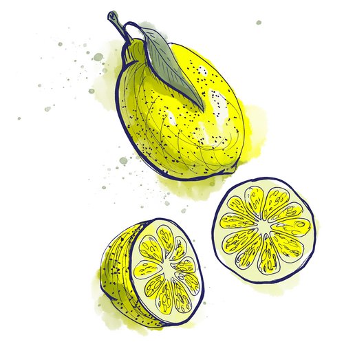 Zeichnung: Zitrone
