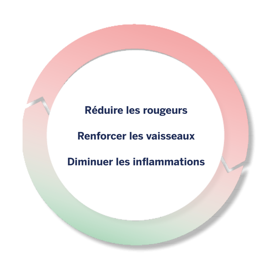 Graphique circulaire avec texte: Réduire les rougeurs, renforcer les vaisseaux, diminuer les inflammations