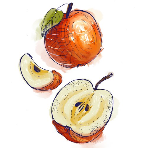 Zeichnung: Apfel