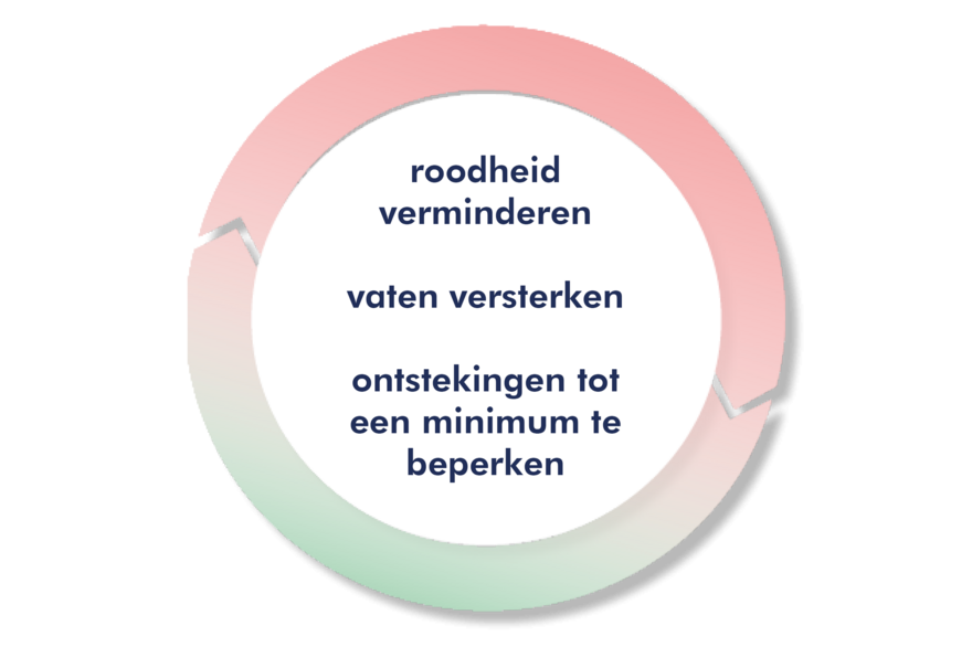 Cirkelgrafiek met tekst: roodheid verminderen, vaten versterken, ontsteking verminderen