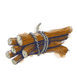 Zeichnung: Süßholzwurzel