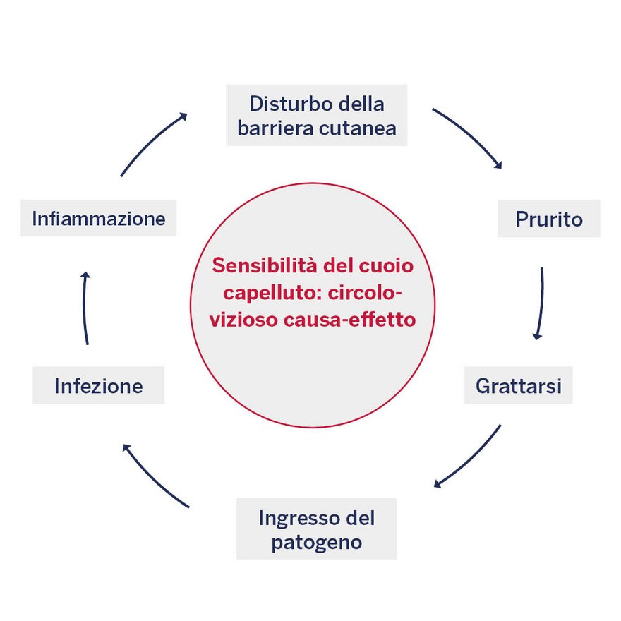 Immagine del circolo vizioso