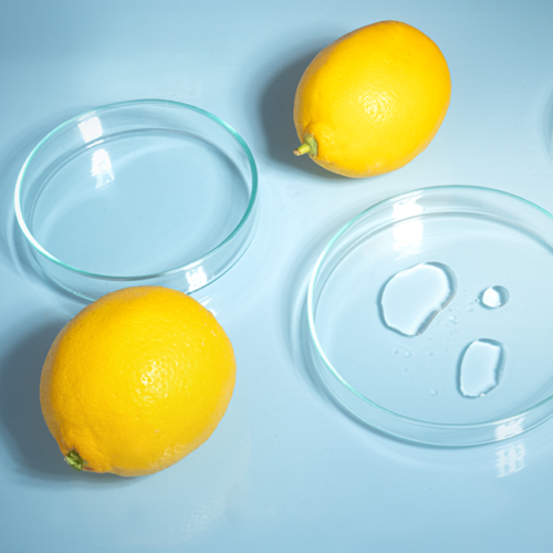 Zitronen und Petrischalen auf blauem Hintergrund